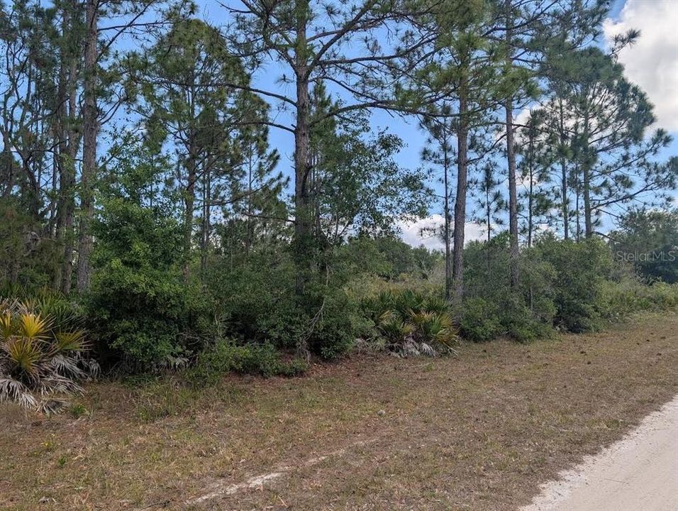 待售: $12,000 (0.50 acres)