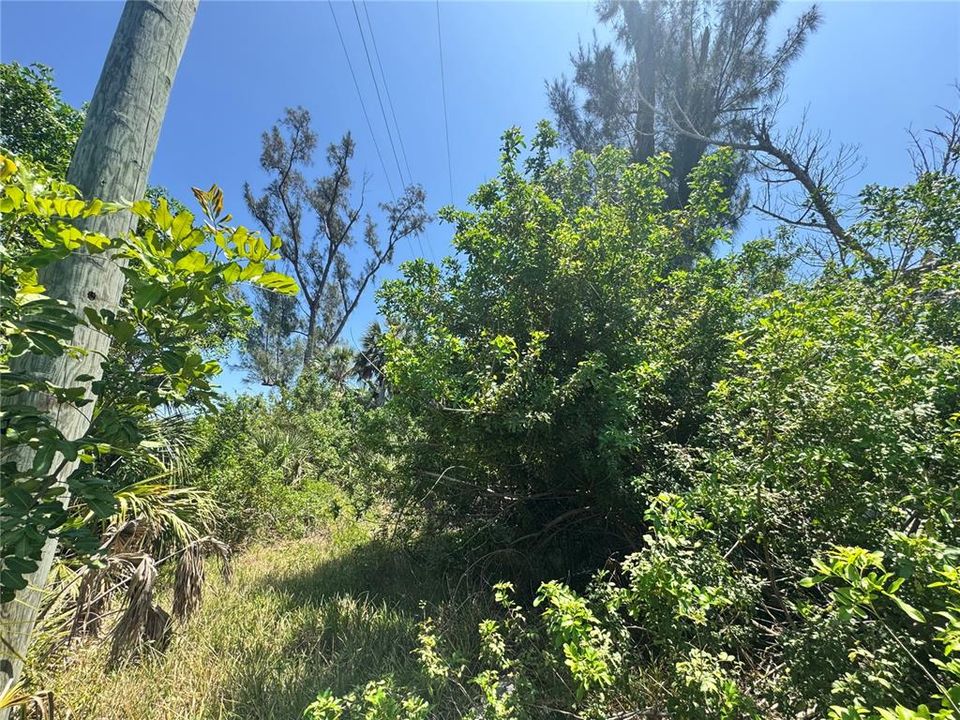 待售: $105,000 (0.12 acres)