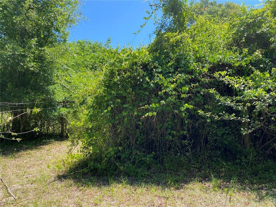 For Sale: $399,000 (1 beds, 1 baths, 1994 Square Feet)