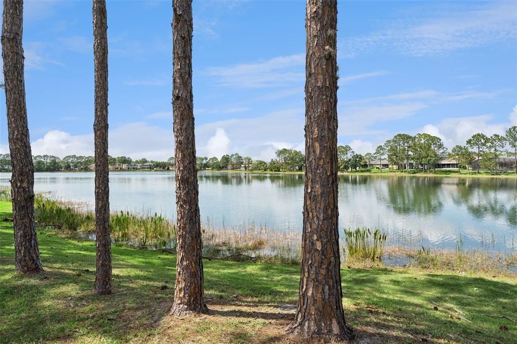 Activo con contrato: $539,000 (4 camas, 3 baños, 2179 Pies cuadrados)