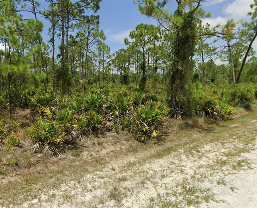 待售: $23,000 (0.37 acres)