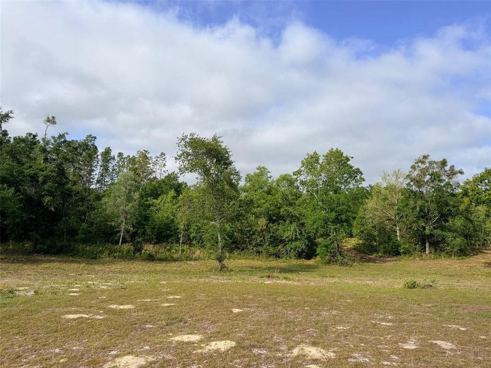 For Sale: $389,899 (4 beds, 2 baths, 1976 Square Feet)