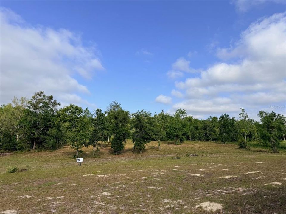 For Sale: $389,899 (4 beds, 2 baths, 1976 Square Feet)