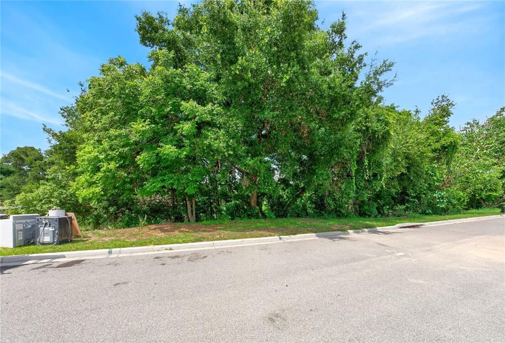 For Sale: $120,000 (0.48 acres)