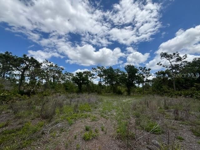 На продажу: $250,000 (3.47 acres)