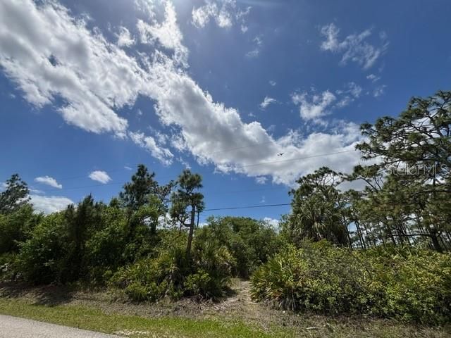 На продажу: $250,000 (3.47 acres)