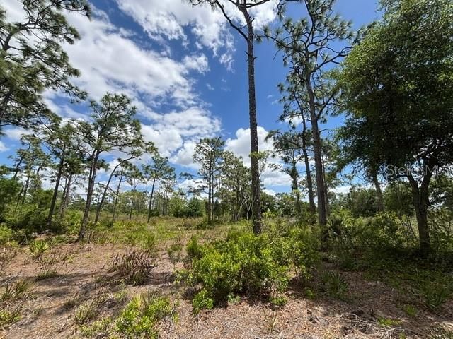 На продажу: $250,000 (3.47 acres)
