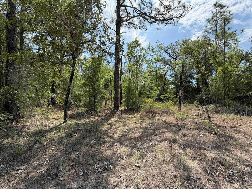 На продажу: $325,000 (20.01 acres)