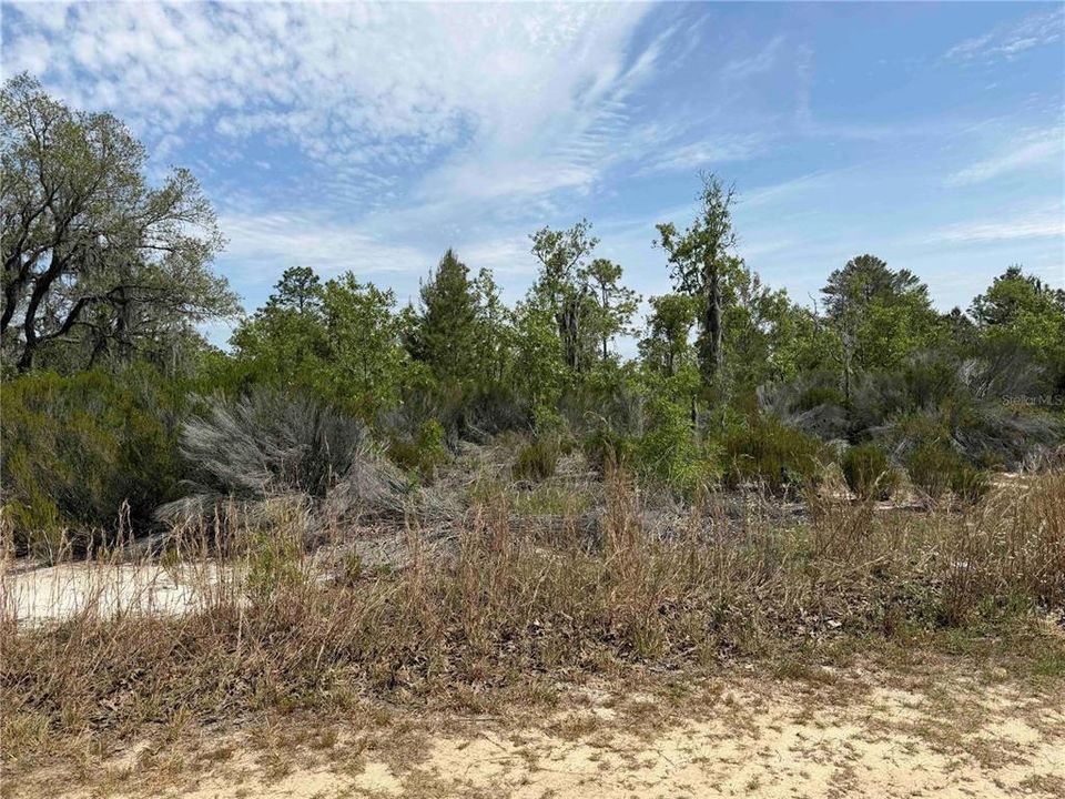 На продажу: $325,000 (20.01 acres)