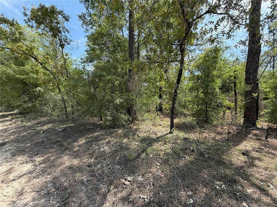 На продажу: $325,000 (20.01 acres)