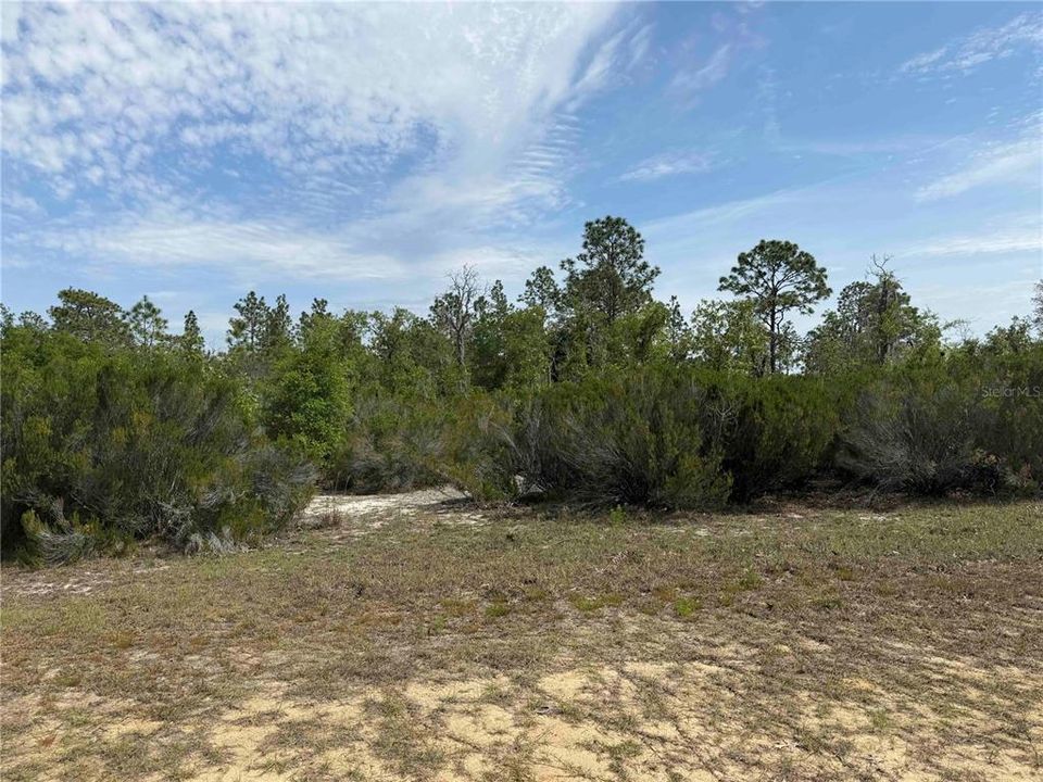На продажу: $325,000 (20.01 acres)