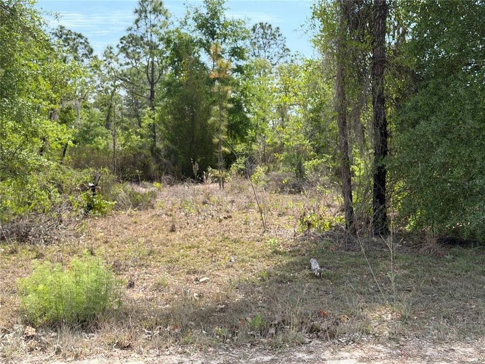 На продажу: $325,000 (20.01 acres)