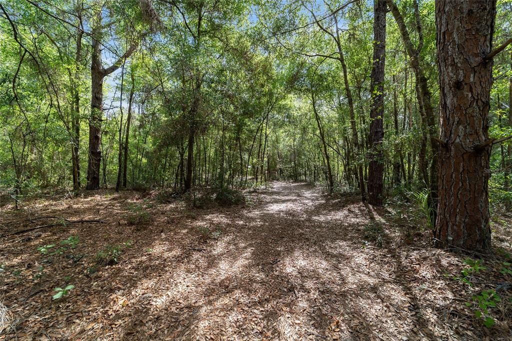 На продажу: $65,000 (1.26 acres)