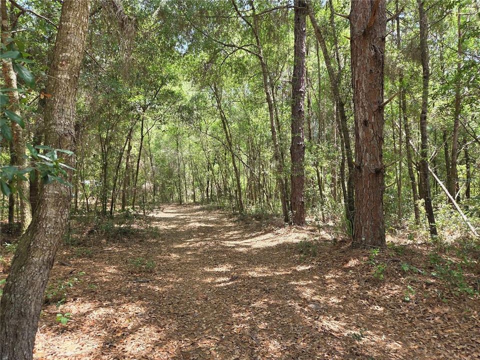 На продажу: $65,000 (1.26 acres)