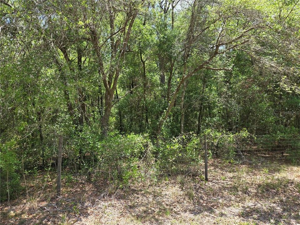 На продажу: $65,000 (1.26 acres)