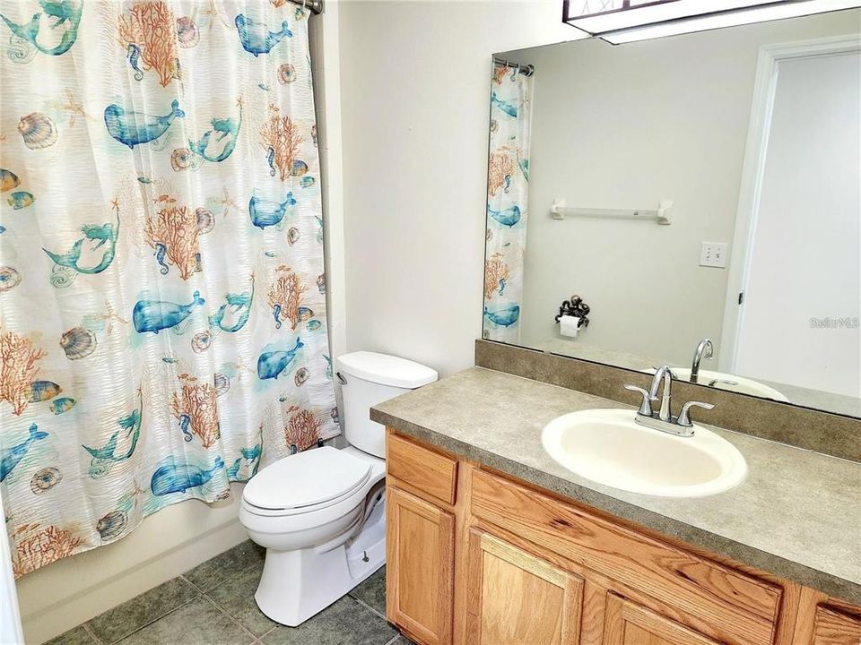 For Rent: $600 (1 beds, 1 baths, 785 Square Feet)