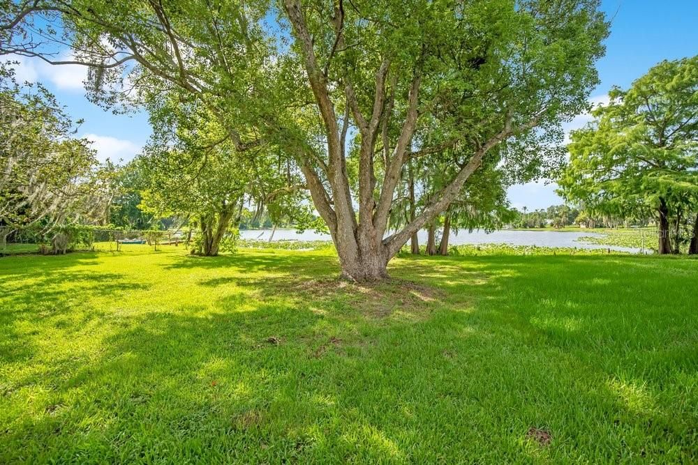 Под контрактом: $475,000 (4 спален, 2 ванн, 1904 Квадратных фут)