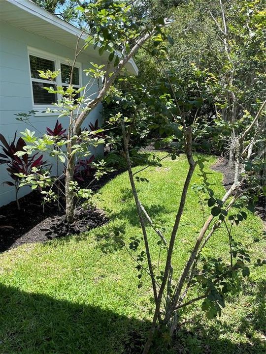 Activo con contrato: $325,000 (2 camas, 1 baños, 938 Pies cuadrados)