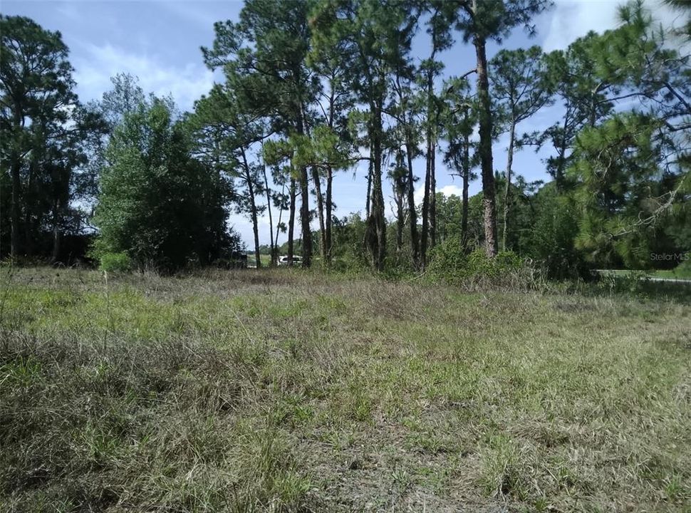 For Sale: $79,900 (1.41 acres)