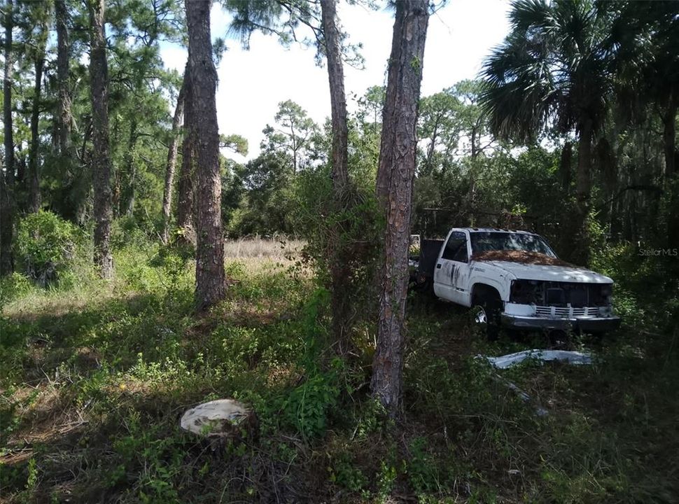 For Sale: $79,900 (1.41 acres)