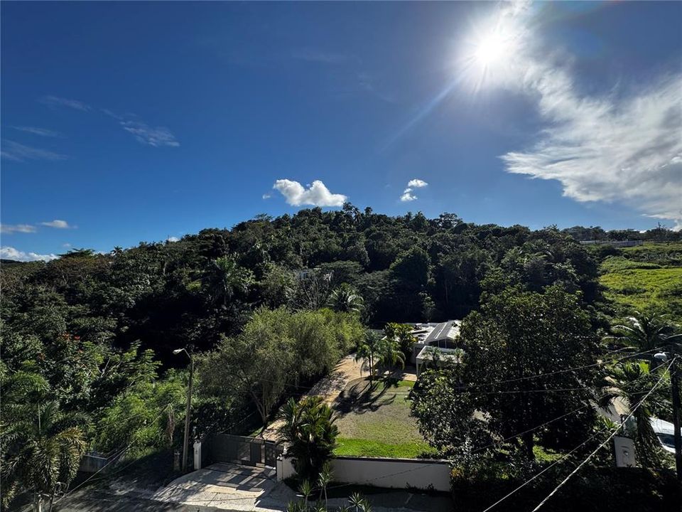Active With Contract: $295,000 (5 beds, 3 baths, 1100 Square Feet)