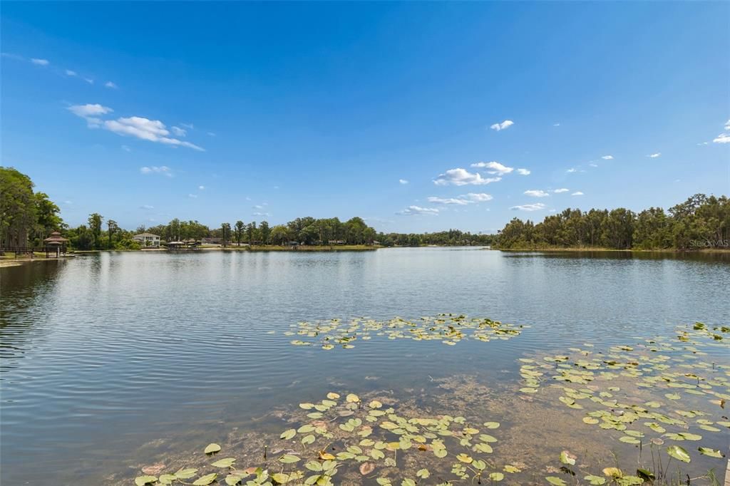 На продажу: $975,000 (4 спален, 3 ванн, 2123 Квадратных фут)