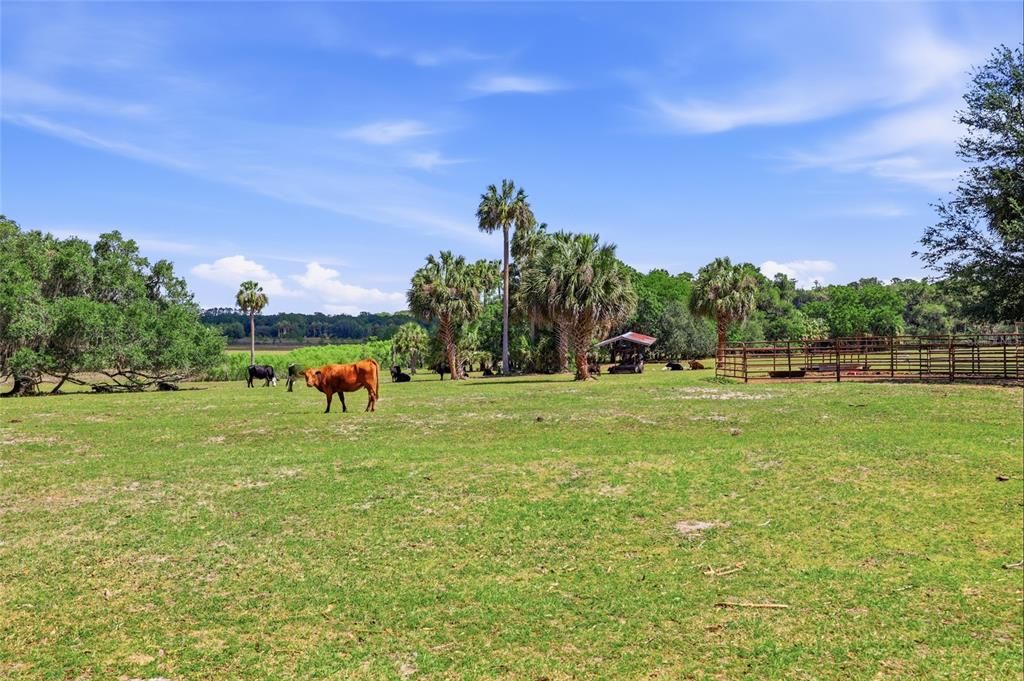 For Sale: $799,000 (3 beds, 2 baths, 2007 Square Feet)