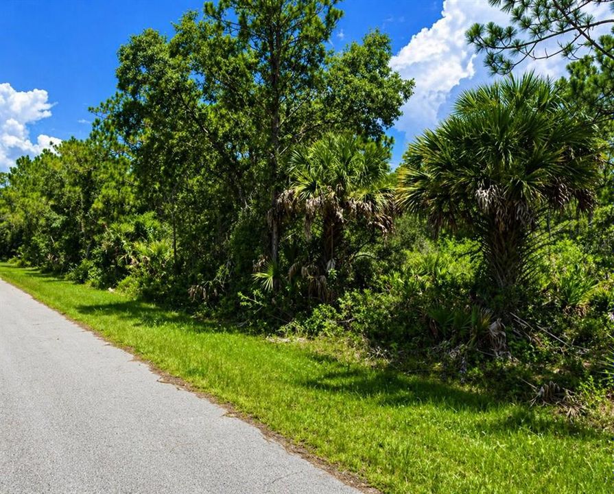 En Venta: $9,590 (0.23 acres)