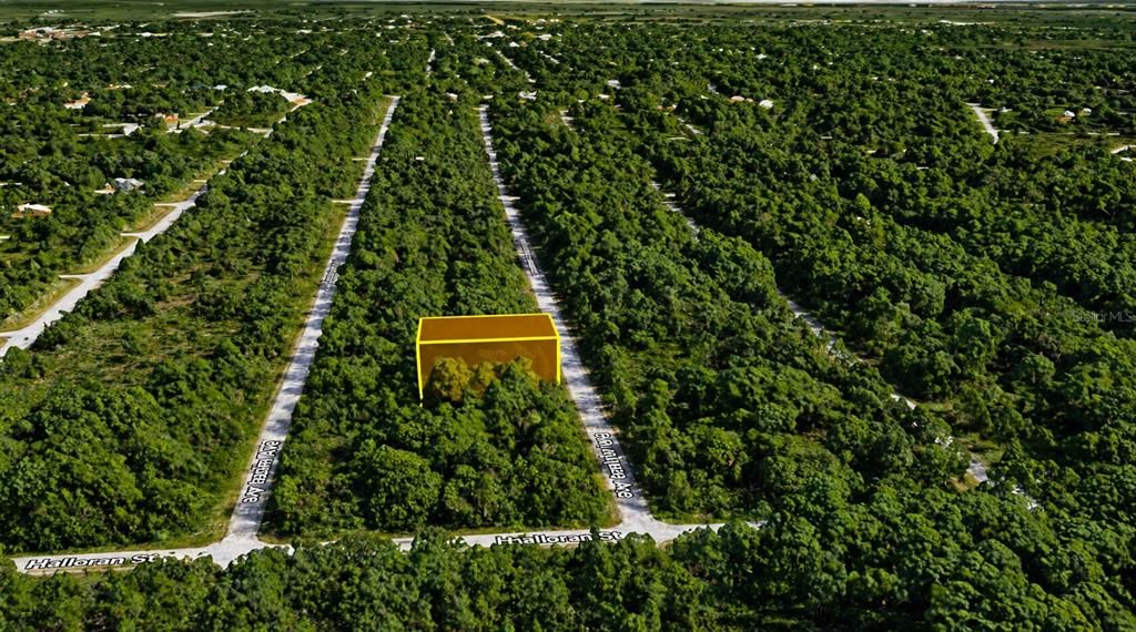 En Venta: $9,590 (0.23 acres)