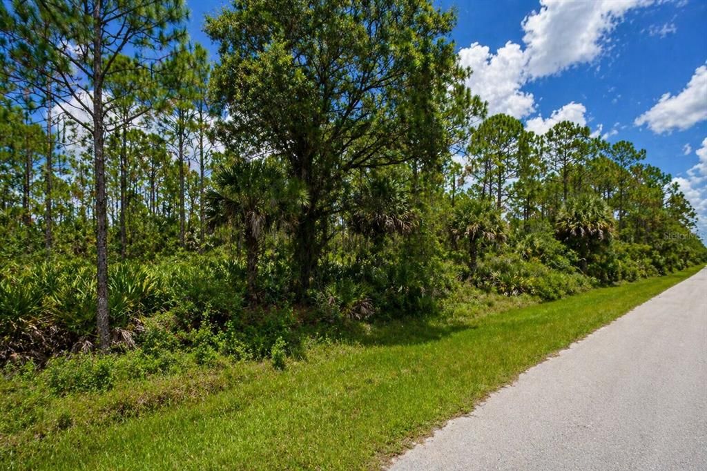 En Venta: $9,590 (0.23 acres)