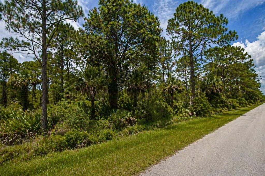 En Venta: $9,590 (0.23 acres)