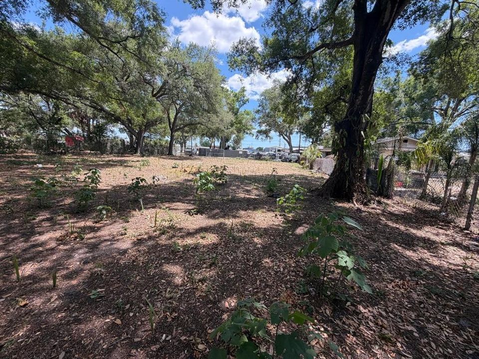 待售: $180,000 (0.22 acres)