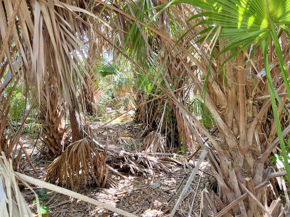 Active With Contract: $25,900 (0.25 acres)