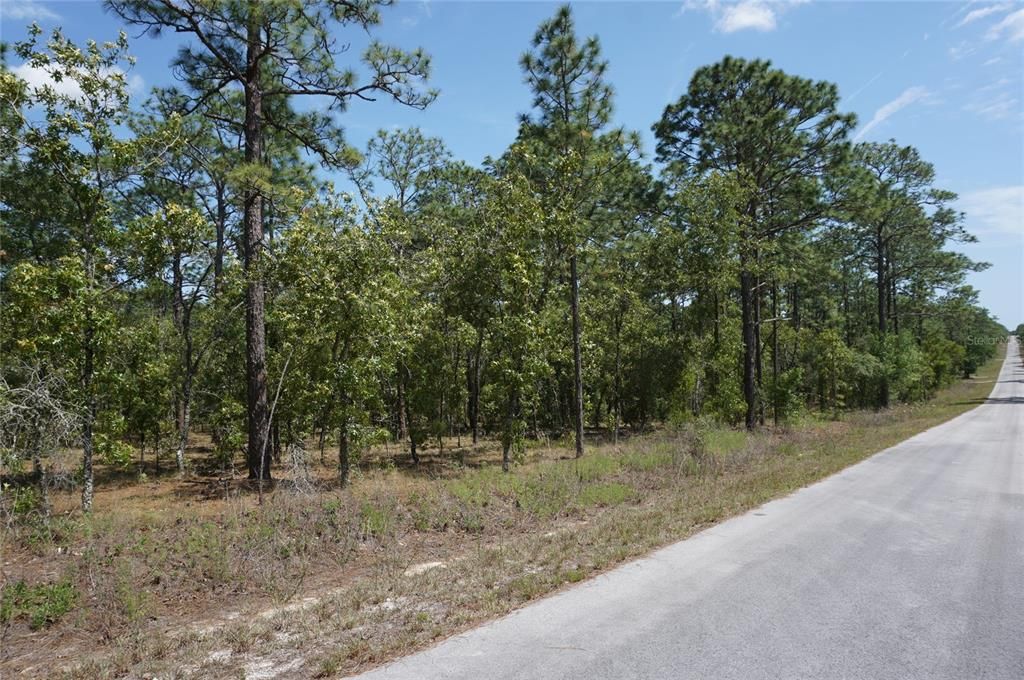 En Venta: $27,900 (1.00 acres)