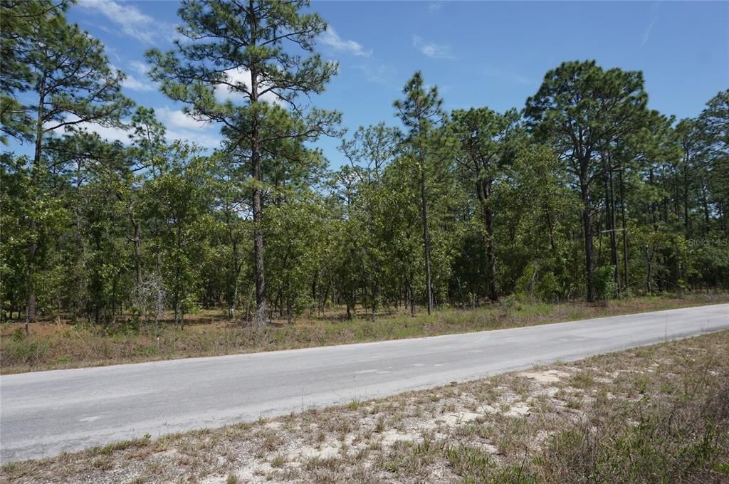 En Venta: $27,900 (1.00 acres)