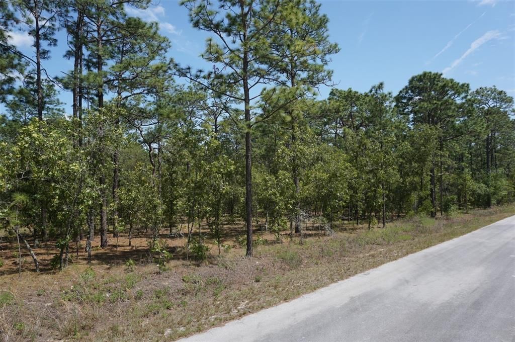 En Venta: $27,900 (1.00 acres)