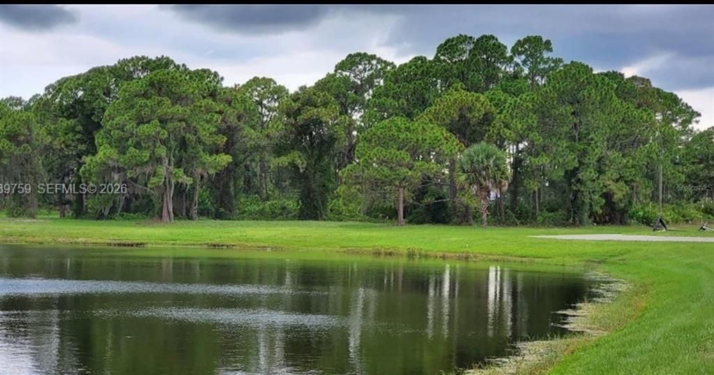 For Sale: $49,900 (0.23 acres)