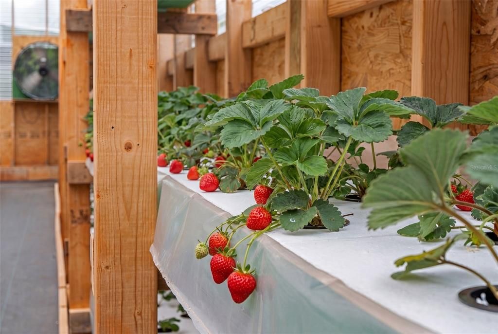 На продажу: $395,000 (0 спален, 0 ванн, 0 Квадратных фут)