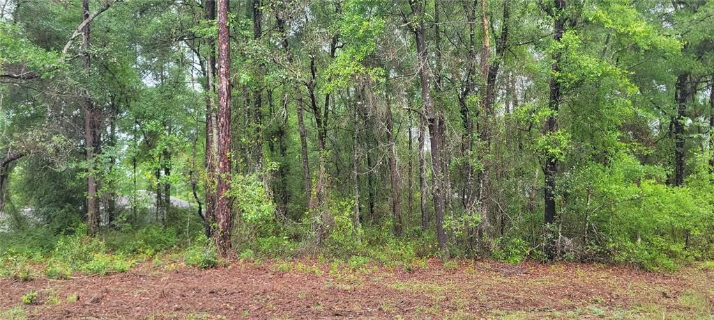 Activo con contrato: $21,000 (0.24 acres)