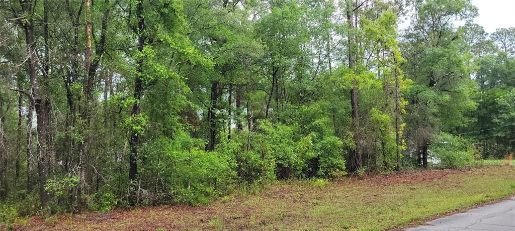 Activo con contrato: $21,000 (0.24 acres)