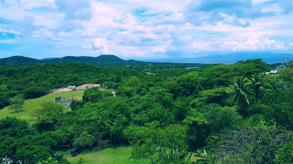 En Venta: $75,000 (0.98 acres)