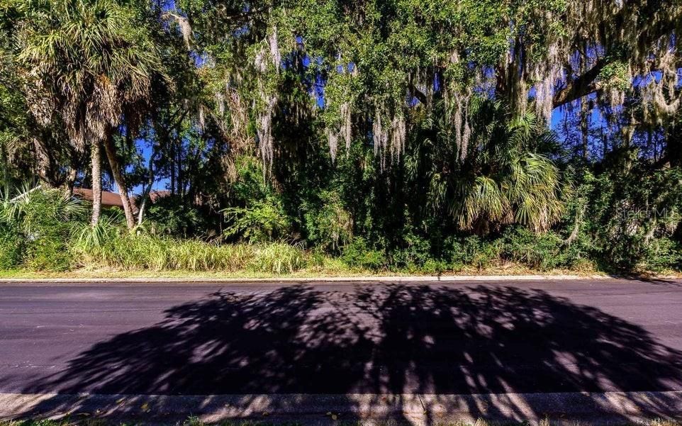 For Sale: $97,500 (0.42 acres)