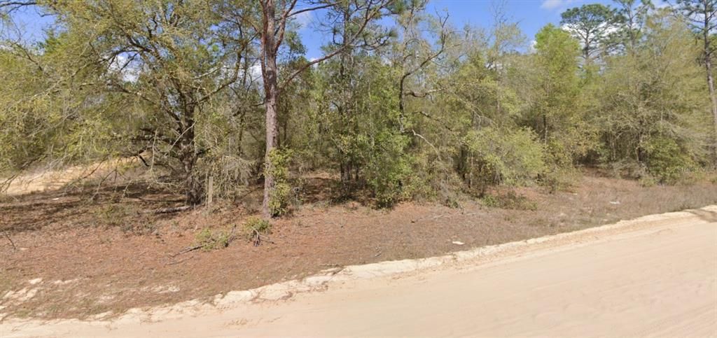 For Sale: $8,995 (0.22 acres)