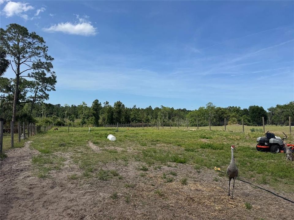 На продажу: $275,000 (6.74 acres)