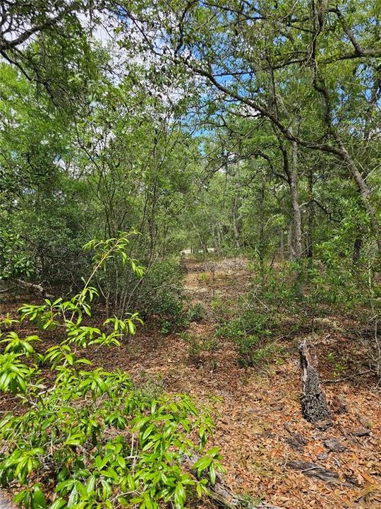 For Sale: $74,900 (2.66 acres)
