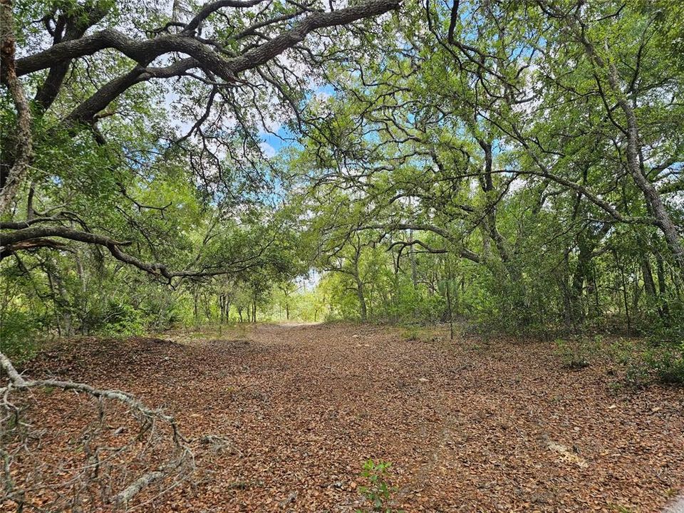 For Sale: $74,900 (2.66 acres)
