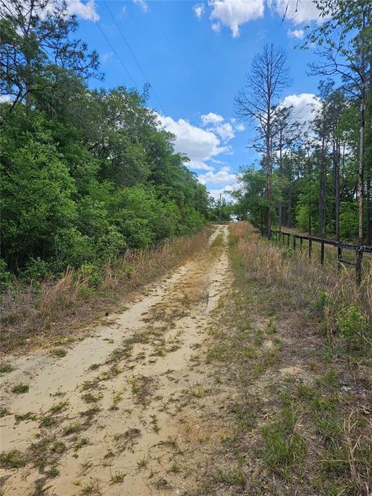 For Sale: $74,900 (2.66 acres)