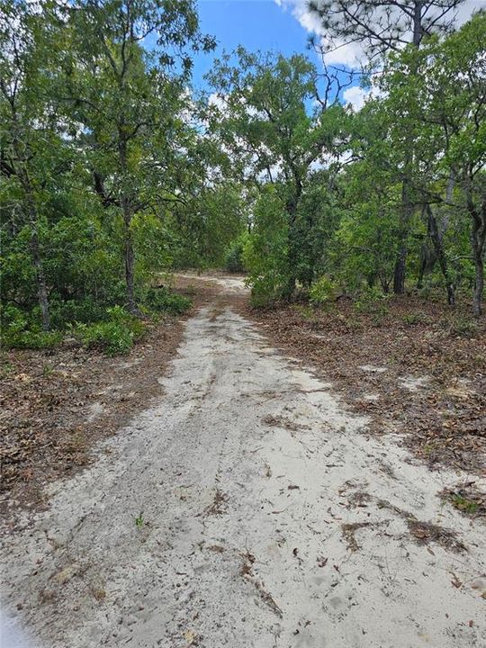 For Sale: $74,900 (2.66 acres)