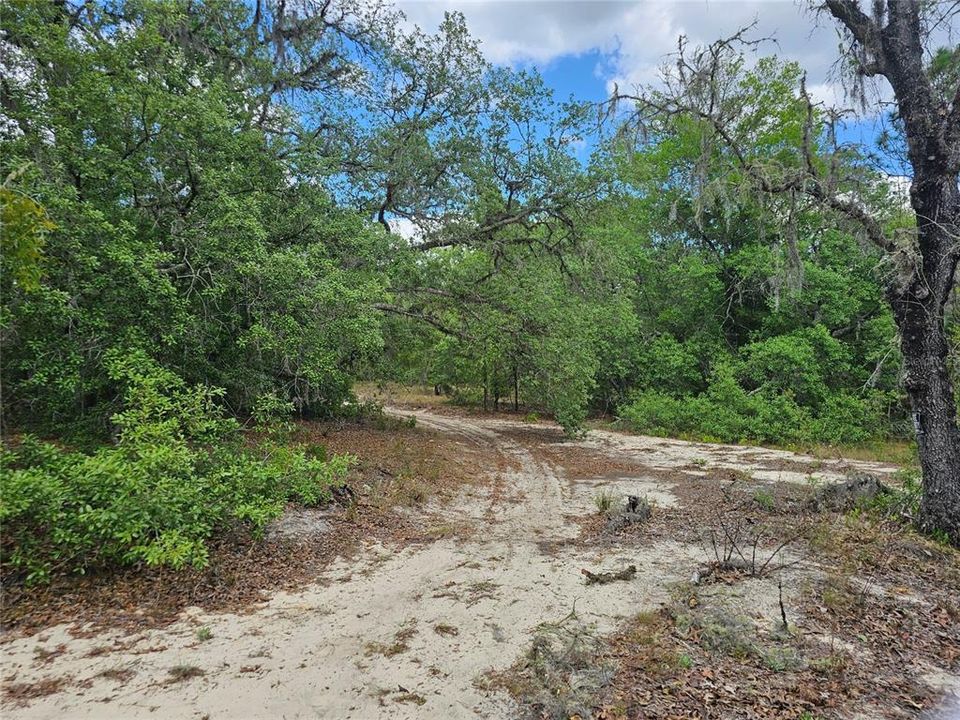 На продажу: $74,900 (2.66 acres)