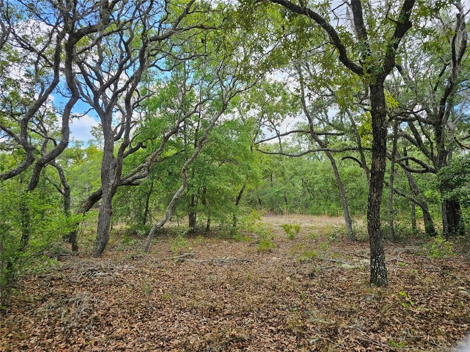 For Sale: $74,900 (2.66 acres)
